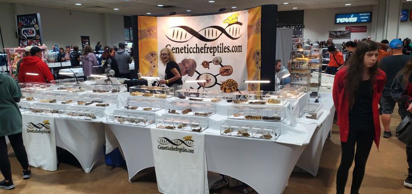 lebanon expo